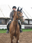 konik.jpg