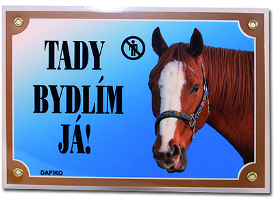 hlidam.jpg