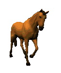 pohib1.gif