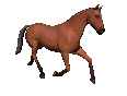 pohib2.gif